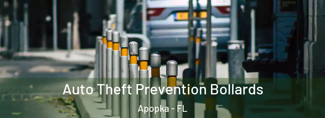 Auto Theft Prevention Bollards Apopka - FL