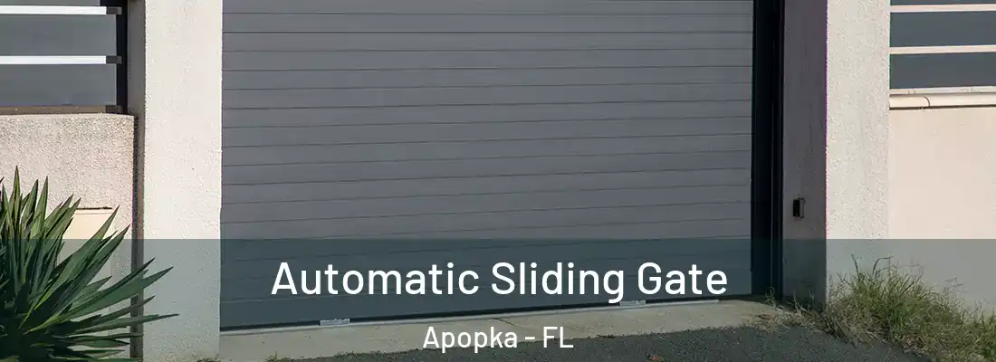 Automatic Sliding Gate Apopka - FL