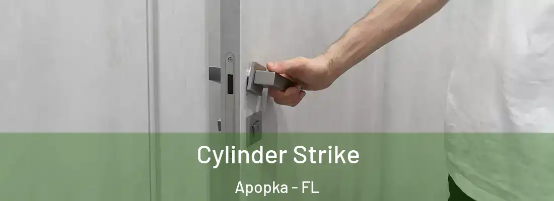 Cylinder Strike Apopka - FL