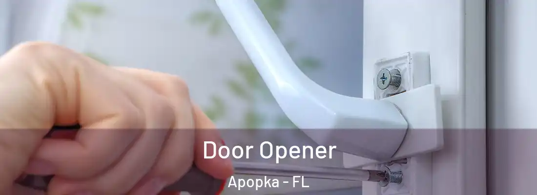 Door Opener Apopka - FL