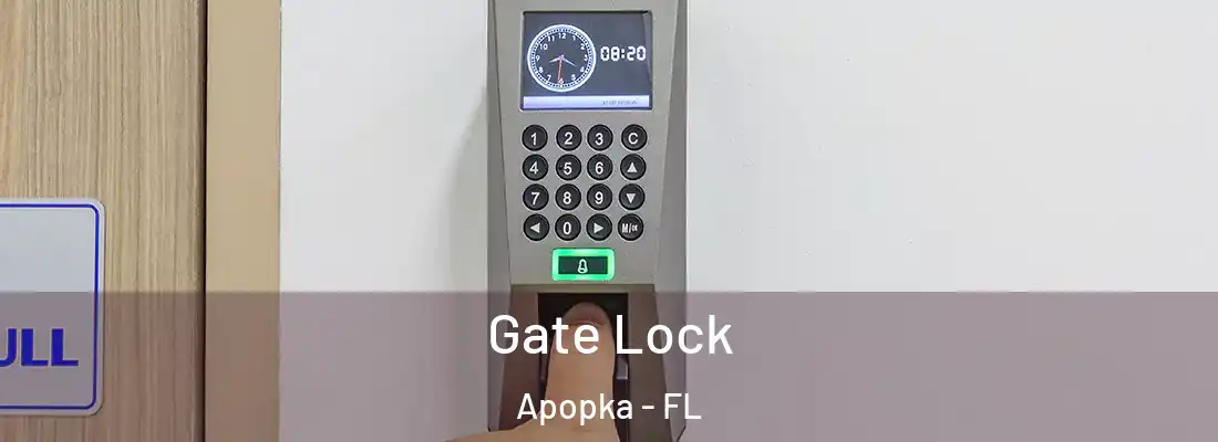 Gate Lock Apopka - FL