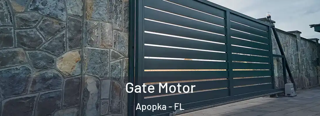Gate Motor Apopka - FL