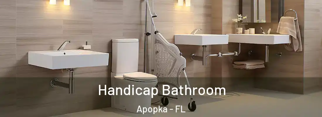 Handicap Bathroom Apopka - FL